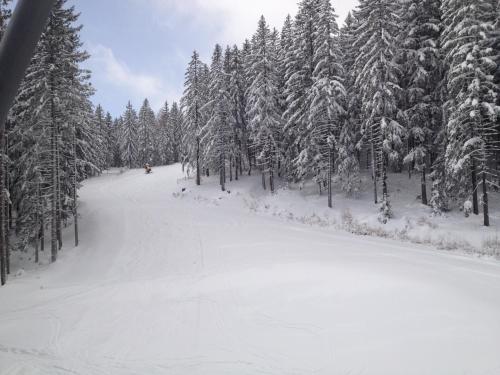 a snow covered road in front of a forest of trees at Glückliche Elfen in Sankt Kathrein am Hauenstein