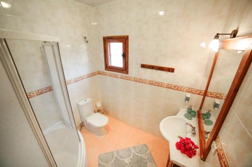 a bathroom with a shower and a toilet and a sink at Kleo Cottages in Kalkan