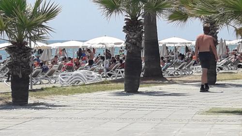 a man walking down a sidewalk next to palm trees at Marina's Rooms in Larnaka