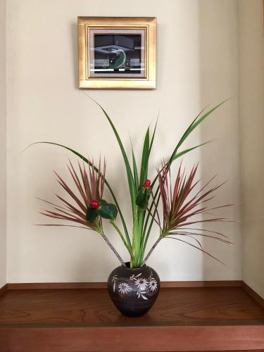 Fotografie z fotogalerie ubytování Tomonoya Ishigaki v destinaci Ostrov Išigaki