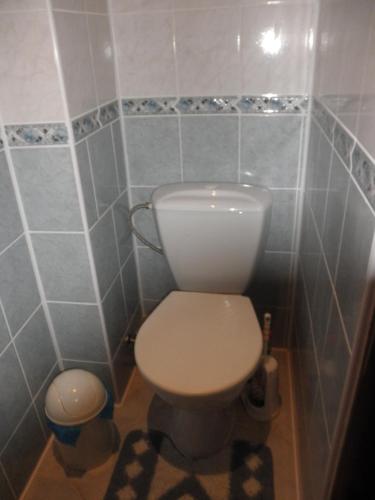a bathroom with a white toilet and blue tiles at Pension U Kaktusu in Karlovy Vary