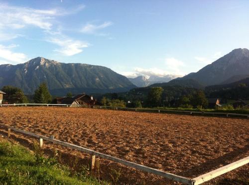 a farm field with mountains in the background at Reitbauernhof Schartner in Altaussee