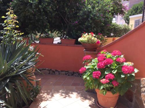 un giardino con fiori in vasi su una recinzione di Villa le Bougainvillea a La Maddalena