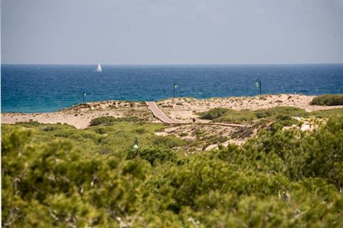 Lloyds Beach Club photo 45