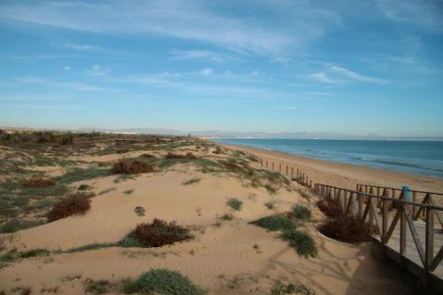 Lloyds Beach Club photo 46