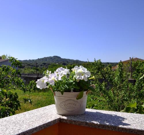 Gallery image of Casa Duminicheddha, mare e relax in Gallura in Bassacutena
