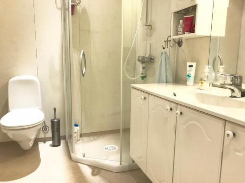 een badkamer met een douche, een toilet en een wastafel bij Villa Holmen in Balestrand