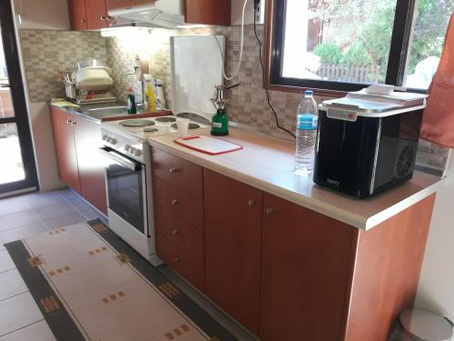 a kitchen with a counter with a sink and a microwave at For Nature Lovers in Skala Rachoniou