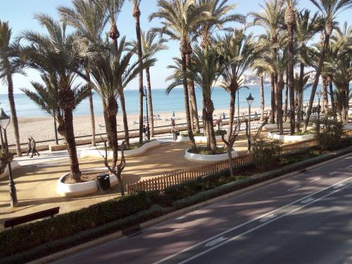 eine Straße mit Palmen und Strand in der Unterkunft Rainbow Rentals Marques 7 in Benidorm