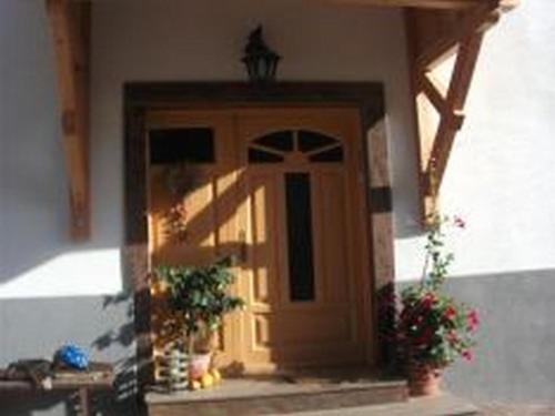 drzwi wejściowe domu z dwoma doniczkami w obiekcie Landhaus Löscher w mieście Seeboden