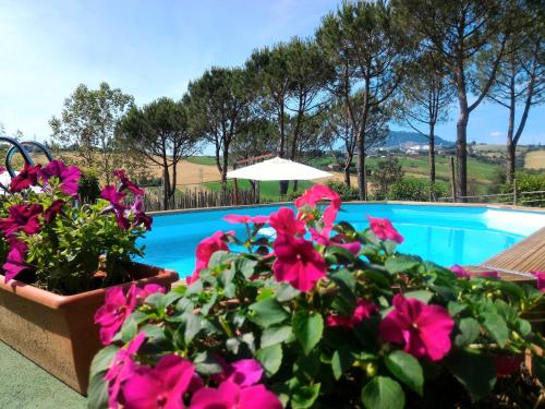 una piscina con fiori rosa di fronte di Appartamenti in Villa Shanti a Rimini