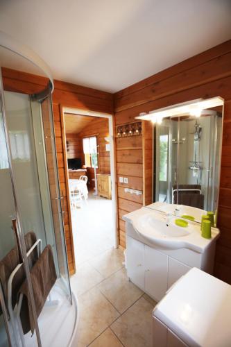 une salle de bain avec un lavabo blanc et une douche dans l'établissement Chalet de Grettery, à Saulxures-sur-Moselotte