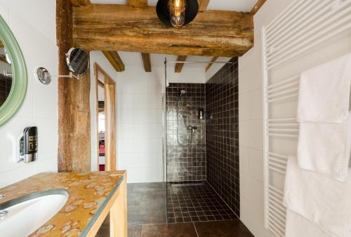 a bathroom with a sink and a shower at Elbe Resort Alte Ölmühle in Wittenberge