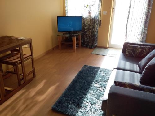 a living room with a couch and a television at Atlantic Beach-side Apartment in Figueira da Foz