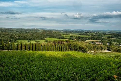 a view of a field with trees and grass at Borgo Argiano in Castelnuovo Berardenga