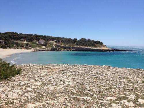 Camping Pascalounet – Photos 5