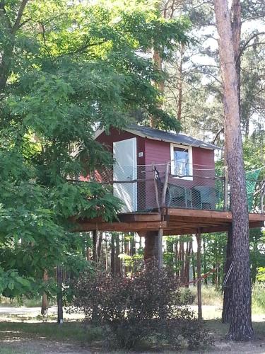 a tree house in the middle of a forest at Scheunenhaus Kienspan in Tornitz
