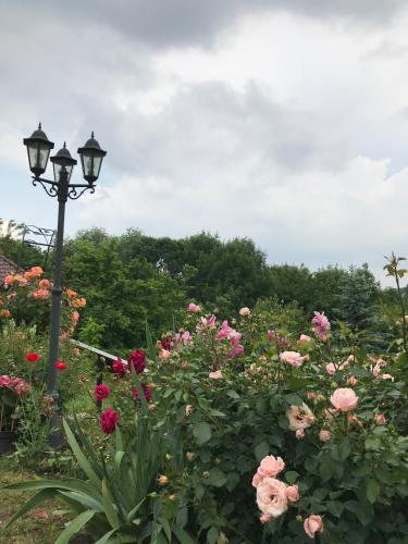 a street light in a garden with flowers at Rapsodia Pension in Suceava