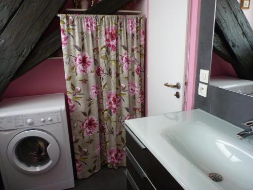 une salle de bain avec une machine à laver et un lavabo dans l'établissement La Fabiola, à Colmar
