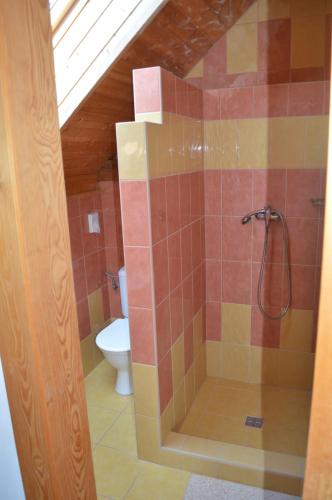 a bathroom with a shower with a toilet at Penzion 409 in Horní Branná