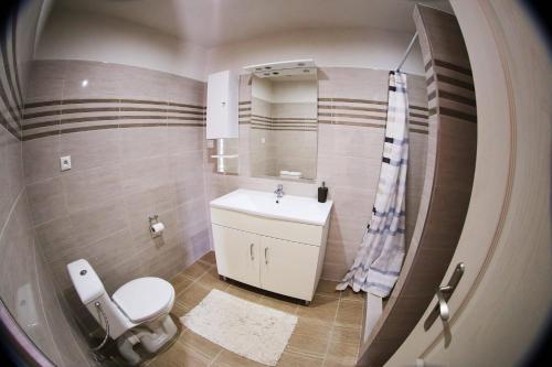 a small bathroom with a toilet and a sink at Apartmány Dimitra in Štúrovo