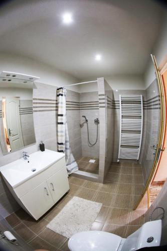 a bathroom with a sink and a shower and a mirror at Apartmány Dimitra in Štúrovo