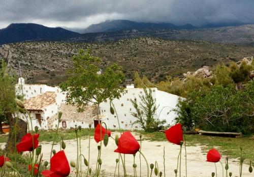 a group of red flowers in front of a building at CASA RURAL "LOS CASARES" in Nerpio