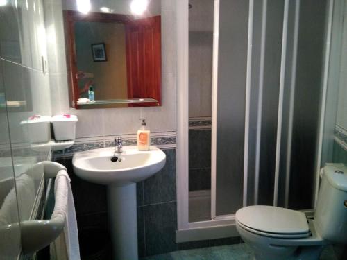 a bathroom with a sink and a toilet and a mirror at Apartamentos Carolina in Celorio