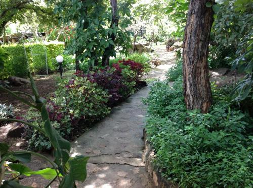 Lynns Guest House – Photos 4