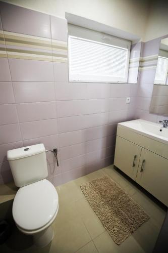 a bathroom with a white toilet and a sink at Apartmány Dimitra in Štúrovo