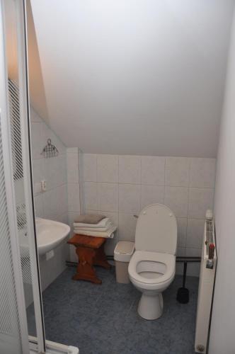 a small bathroom with a toilet and a sink at Dom Gościnny in Gietrzwałd