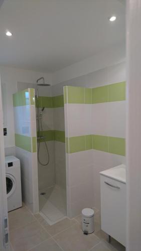 a bathroom with a shower and a washing machine at LES LAUZES DE ST MICHEL-LA SARRIETTE in Entrechaux