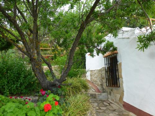 Κήπος έξω από το Finca Sábila