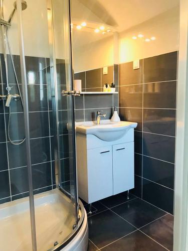 a bathroom with a sink and a shower at Apartments Bakula in Mandre