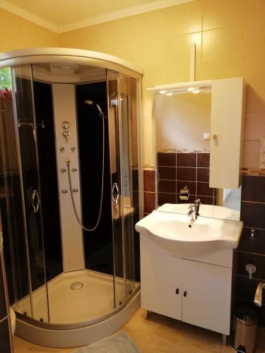 a bathroom with a shower and a sink at Fenyves Ferienhaus 1 **** in Balatonfenyves