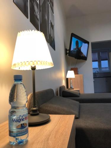 TV a/nebo společenská místnost v ubytování Polanka