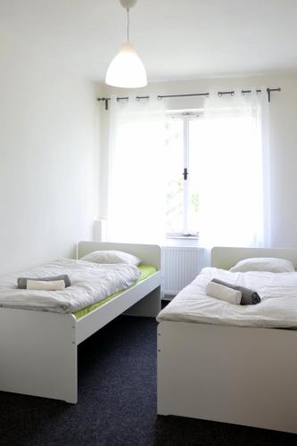 two beds in a bedroom with two windows at Jcamp in Nové Město pod Smrkem