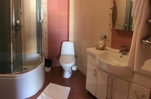 a bathroom with a toilet and a sink and a shower at Complex Vivcharyk in Skole