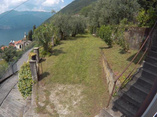 a view of a hill with trees and a fence at Gli Ulivi di Nesso in Nesso