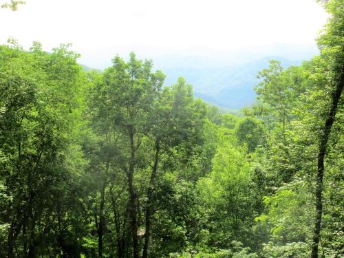 a forest of trees with mountains in the background at Alpine Log Cabin in Boone