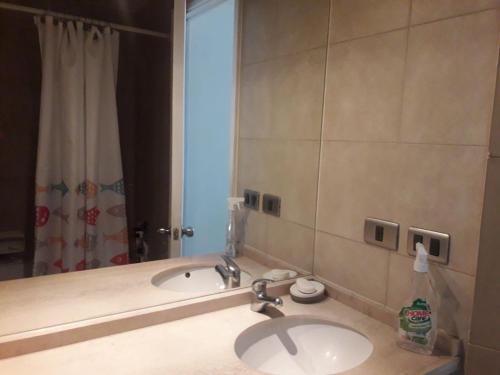 uma casa de banho com um lavatório e um espelho em Centro Anita em Santiago