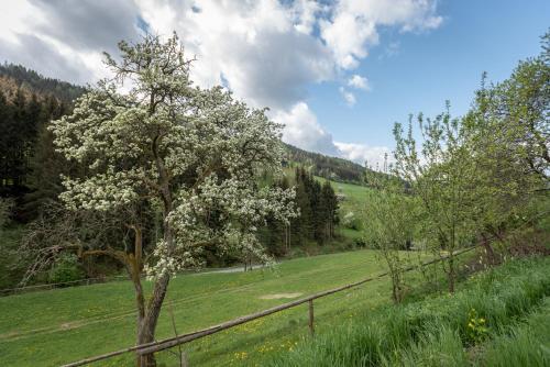a tree in a field next to a fence at Urlaub auf der Alm "Deluxe" in Preggraben