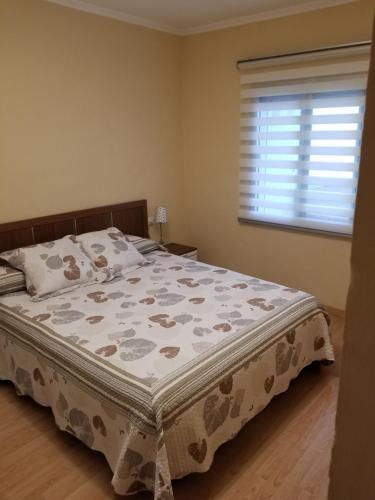 Calle de Dona Dolsa n6, 2Dcha