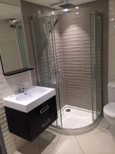 a bathroom with a shower and a sink and a toilet at Louise in Luxeuil-les-Bains