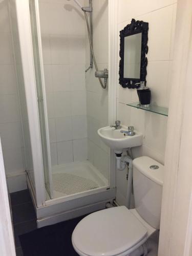 a bathroom with a toilet and a sink and a shower at The Mayfair Hotel in Great Yarmouth