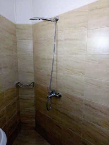 a shower in a bathroom with a wooden wall at Aura in Primorsko