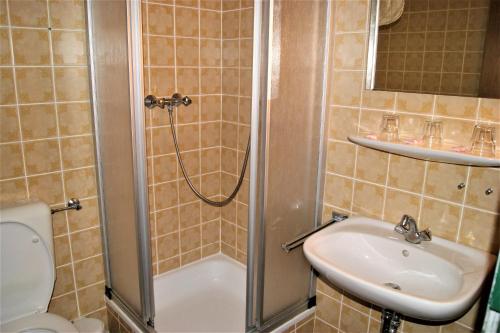 a bathroom with a shower and a sink and a toilet at Penzion Sumavacek in Bayerisch Eisenstein
