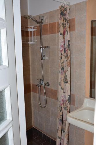 a shower in a bathroom with a shower curtain at Papli Villade Apartment in Pärnu
