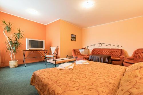 a hotel room with a bed and a tv at Kyjovský pivovar - hotel, restaurace, pivní lázně in Kyjov