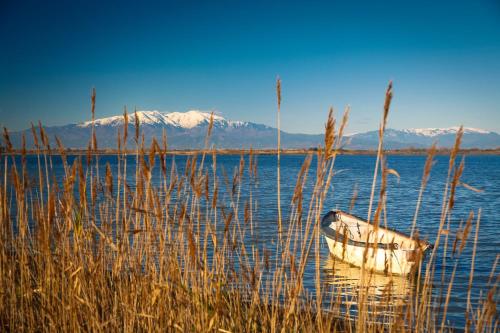 Ảnh trong thư viện ảnh của Mas du Roc ở Saint-Nazaire